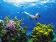 Albisola Superiore, il 23 agosto &quot;Snorkeling…alla scoperta della vita sott’acqua&quot;