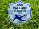 Calcio, Seconda Categoria. Mister Albesano specialista in rinascite: "Pallare diverso dal Dego, ma ci sono i presupposti per fare bene" Calcio, Seconda Categoria. Mister Albesano specialista in rinascite: "Pallare diverso dal Dego, ma ci sono i presupposti per fare bene"