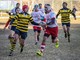 Rugby Savona: nel week end sarà trasferta a Pavia