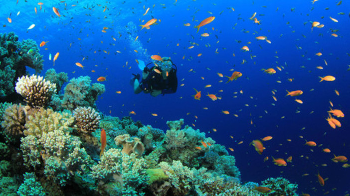 Outdoor. A Varazze arriva lo snorkeling didattico