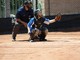 Softball: domenica piemontese per lo Star Cairo