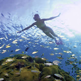 Bergeggi: tutti i mercoledì snorkeling all'isola