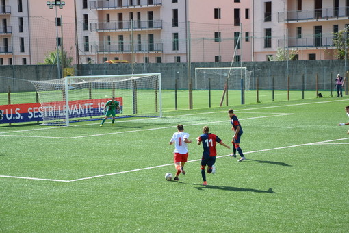 Calcio, Serie D: il Varese chiede il rinvio per un giocatore positivo al Covid