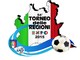 Calcio, Torneo delle Regioni. Gruppo tutto meridionale per la Liguria