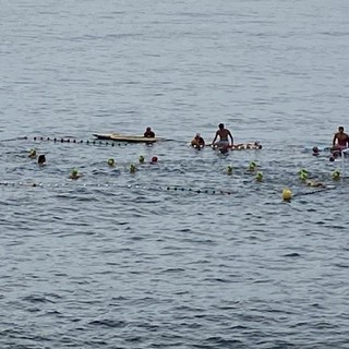 Pallanuoto. Nel week end torna l'appuntamento con il Trofeo Panarello Pallanuoto. Nel week end torna l'appuntamento con il Trofeo Panarello