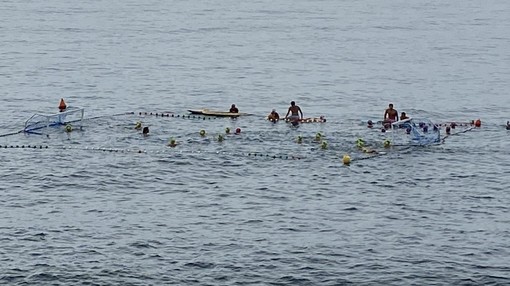 Pallanuoto. Nel week end torna l'appuntamento con il Trofeo Panarello Pallanuoto. Nel week end torna l'appuntamento con il Trofeo Panarello