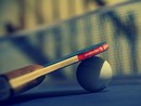 Tennistavolo. Varazze è pronta per il Ping Pong Gala 2025