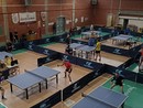 Tennistavolo. Nove titolo provinciali in palio nei campionati di Toirano Tennistavolo. Nove titolo provinciali in palio nei campionati di Toirano