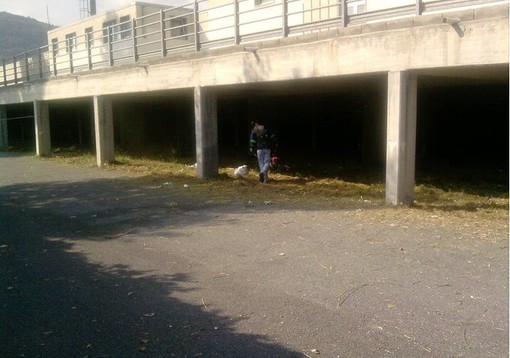 Albenga, Stadio Riva: vola su Facebook la petizione degli Ultras Albenga Albenga, Stadio Riva: vola su Facebook la petizione degli Ultras Albenga
