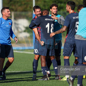 IL PAGELLONE. Vado, forza e contraddizioni