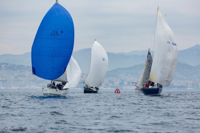 Vela | Il Campionato intercircoli arriva anche a ponente, nel week end prima tappa a Varazze Vela | Il Campionato intercircoli arriva anche a ponente, nel week end prima tappa a Varazze