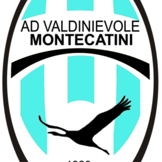 Calcio, Serie D: Lazzerini si è dimesso, scossone per il Valdinievole Montecatini