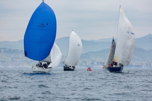 Vela | Il Campionato intercircoli arriva anche a ponente, nel week end prima tappa a Varazze