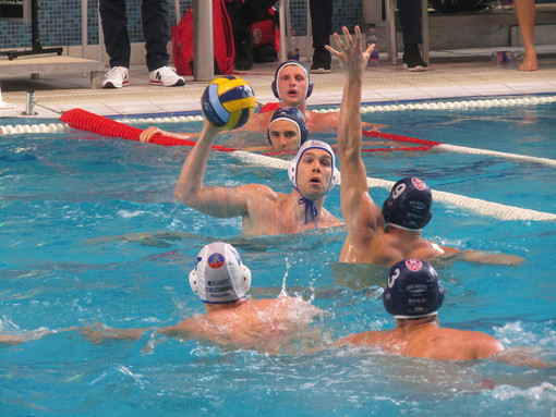 Pallanuoto, Euro Cup. Sarà di nuovo RN Savona - Vasas nei Preliminary Round, nel gruppo anche Apollon e Honved Pallanuoto, Euro Cup. Sarà di nuovo RN Savona - Vasas nei Preliminary Round, nel gruppo anche Apollon e Honved