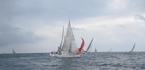 Vela. Trofeo Mokalito: Expresso, That's Life, Via col Vento e Solange: ecco i nomi del quartetto vincitore
