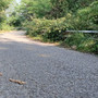 Via alla Stra Via alla Stra