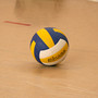 Dego, il volley accende la palestra comunale: Mondovì e Alessandria in campo per un allenamento congiunto Dego, il volley accende la palestra comunale: Mondovì e Alessandria in campo per un allenamento congiunto